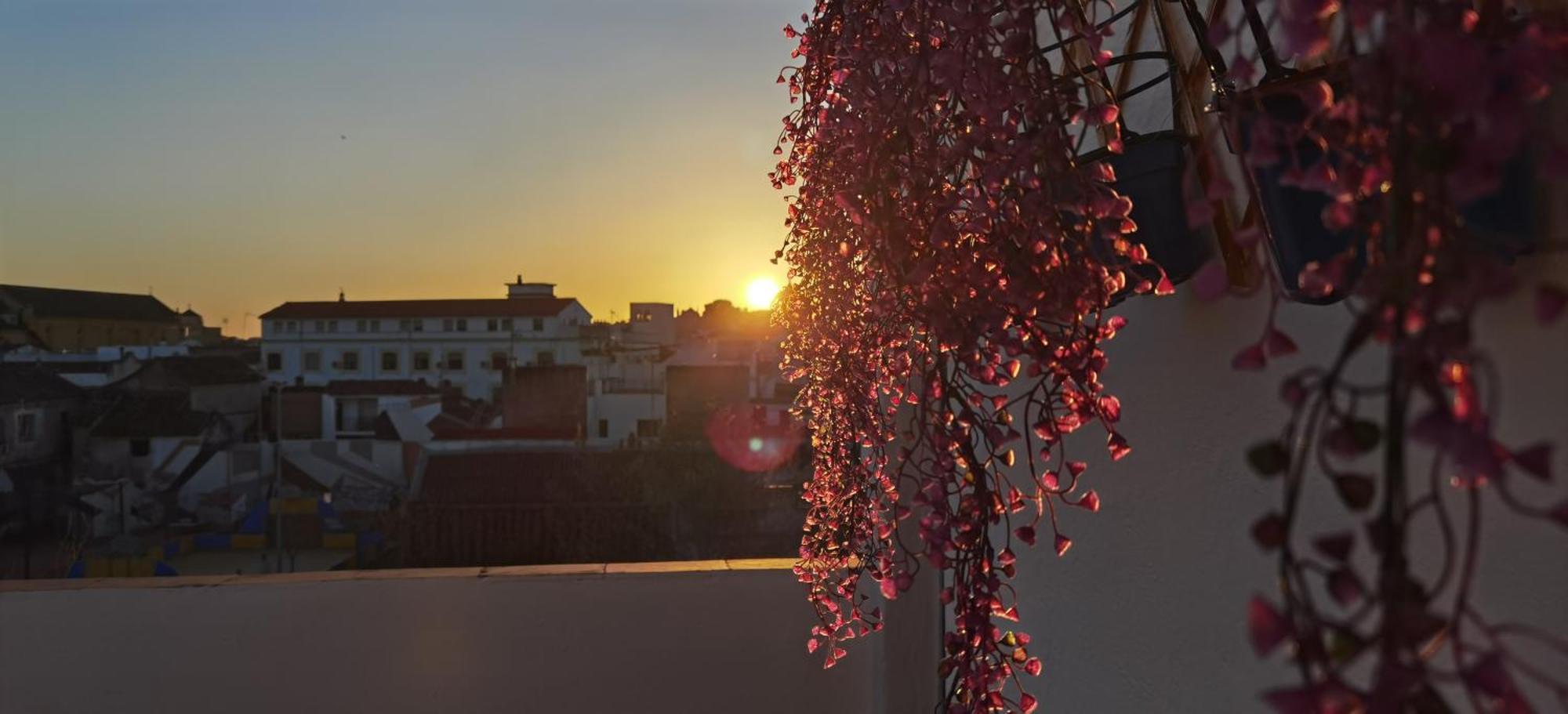 La Luz De San Eloy Apartment Cordoba Ngoại thất bức ảnh